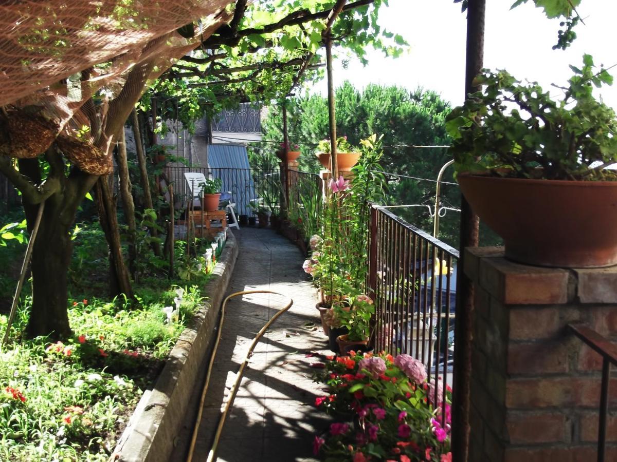 Le Mimose * Vietri