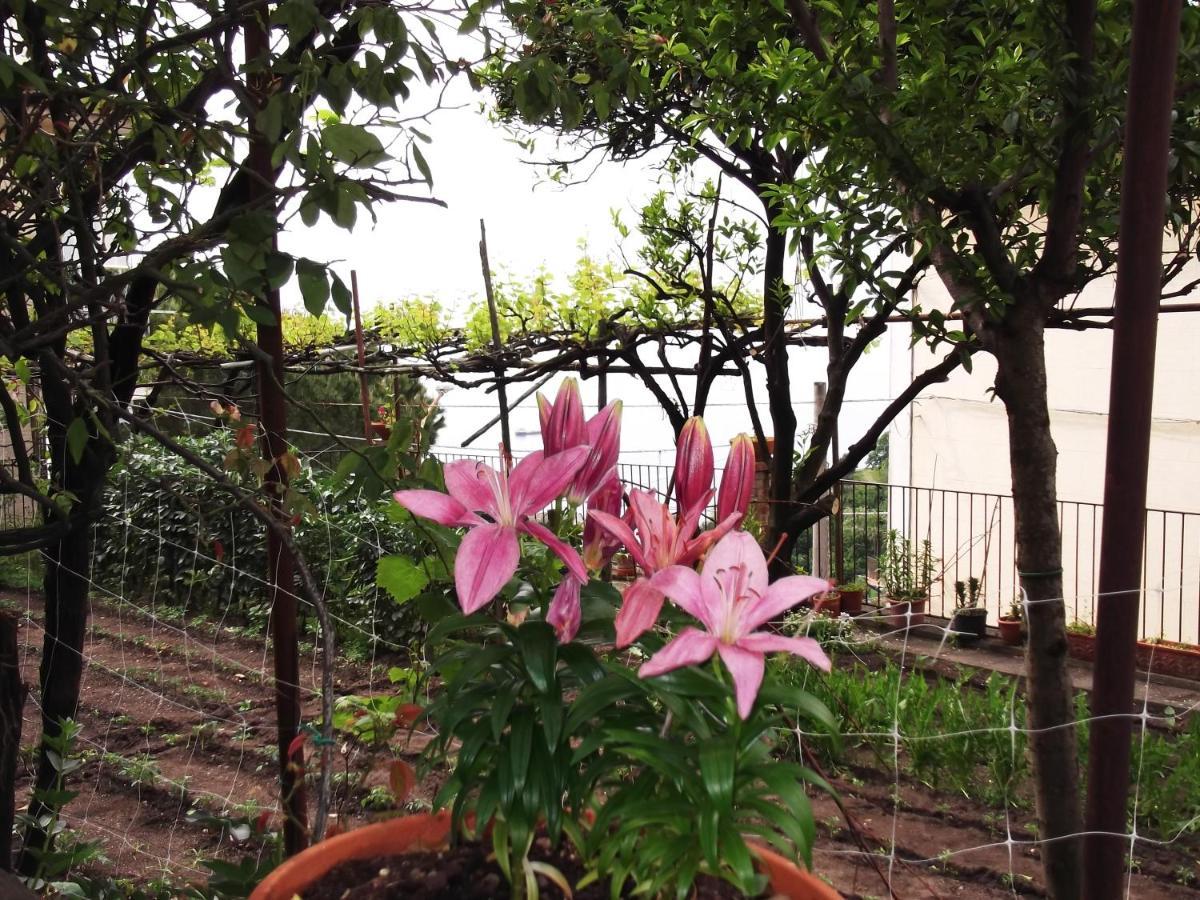 Casa de Férias Le Mimose Vietri