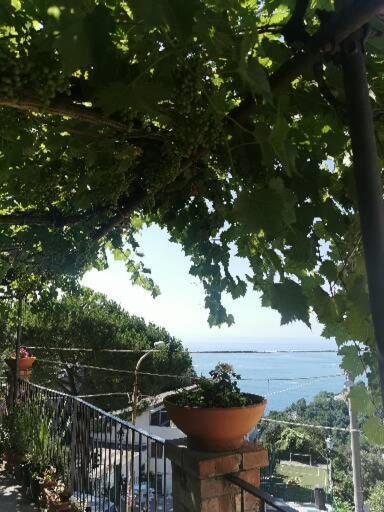 Le Mimose Casa de Férias Vietri