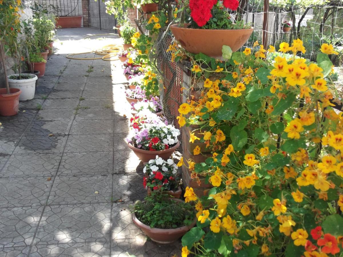 Casa de Férias Le Mimose *