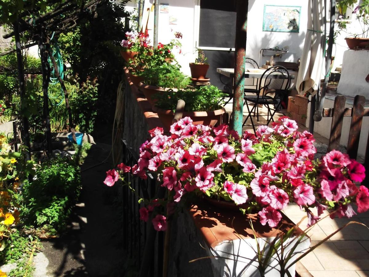 Le Mimose Vietri