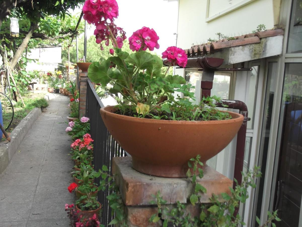 Le Mimose Casa de Férias