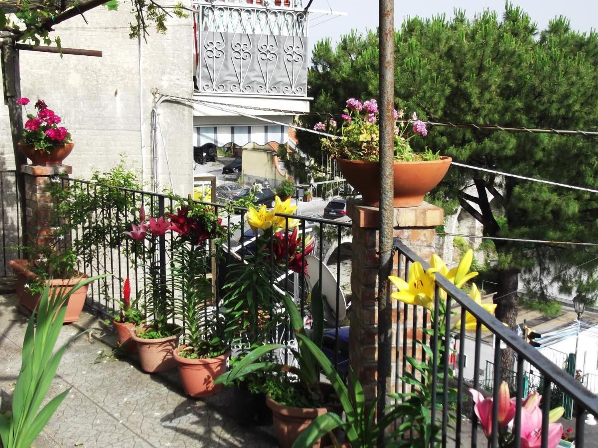 Le Mimose Casa de Férias
