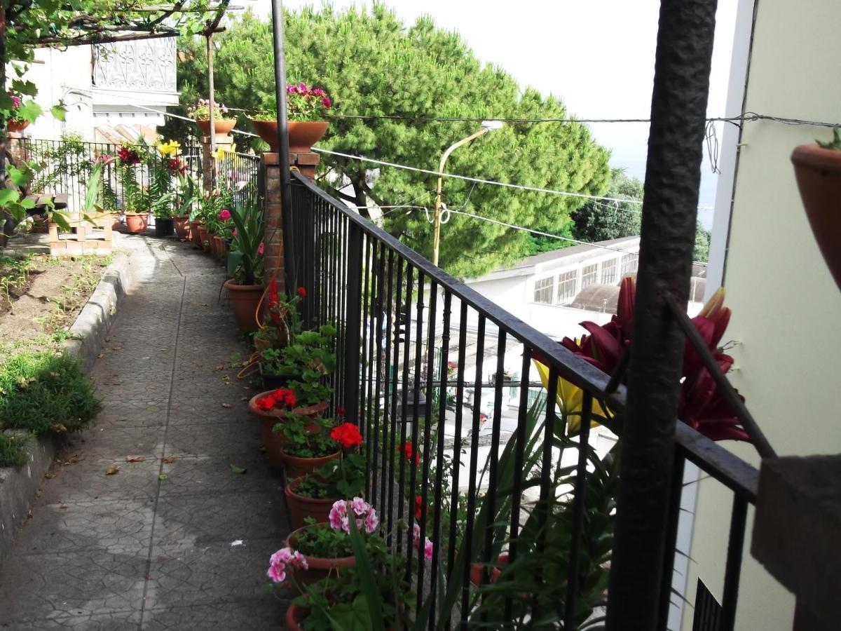 Le Mimose Casa de Férias *