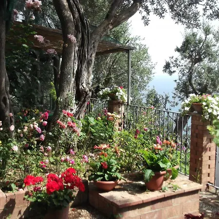 Le Mimose Villa Vietri sul Mare Exterior photo