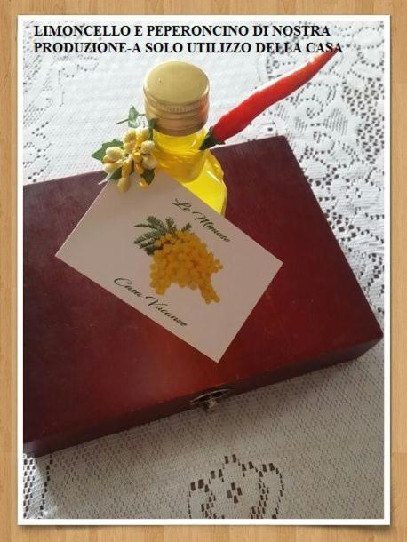 Le Mimose Holiday home