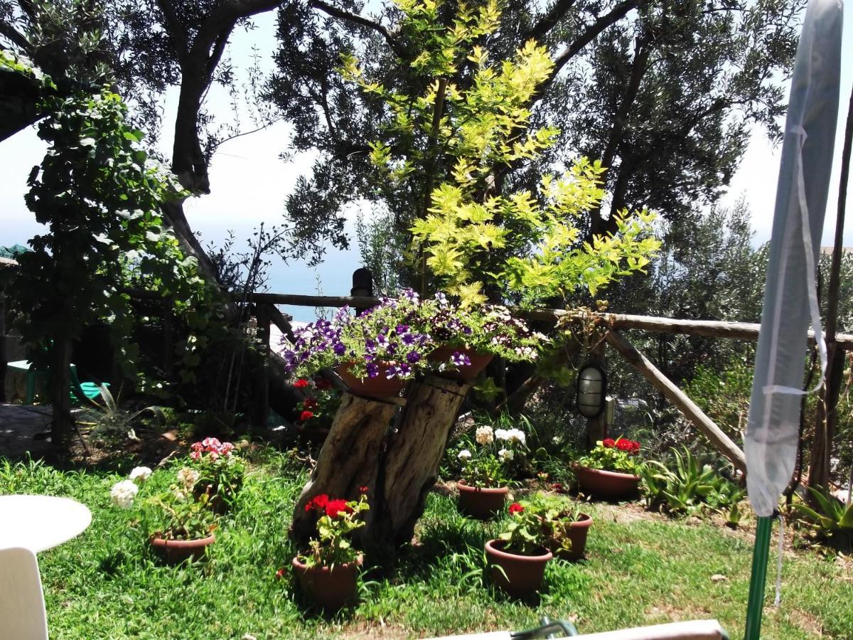 Holiday home Le Mimose *