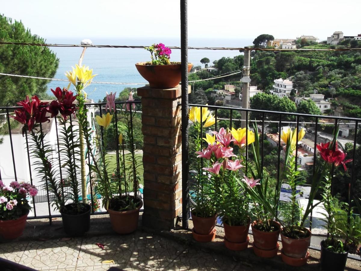 Le Mimose Holiday home *