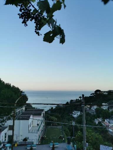 Holiday home Le Mimose
