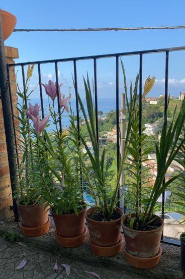 Le Mimose Holiday home Vietri sul Mare