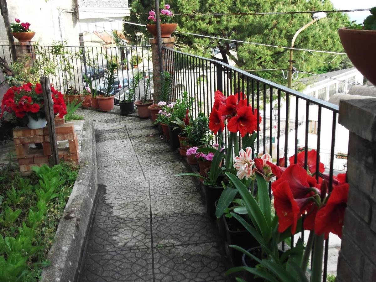 Holiday home Le Mimose *