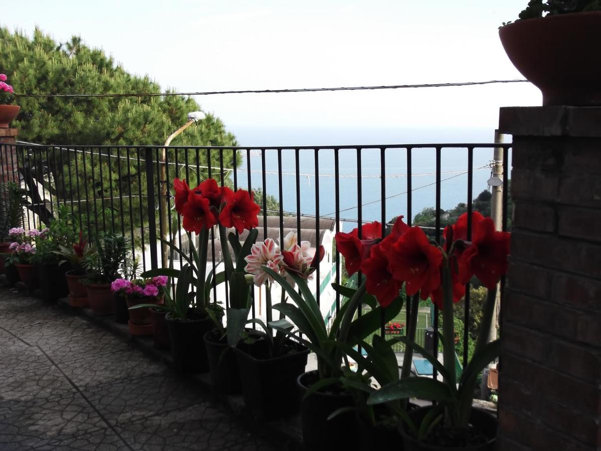 Le Mimose Holiday home