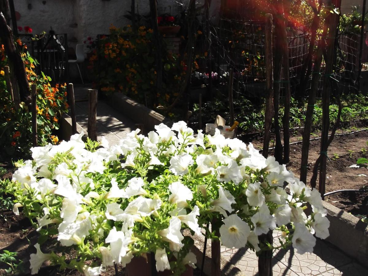 Holiday home Le Mimose *