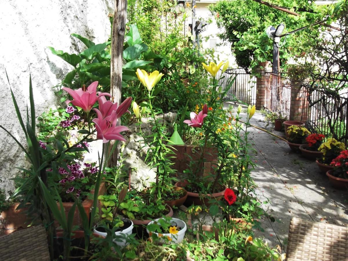 Holiday home Le Mimose Vietri sul Mare