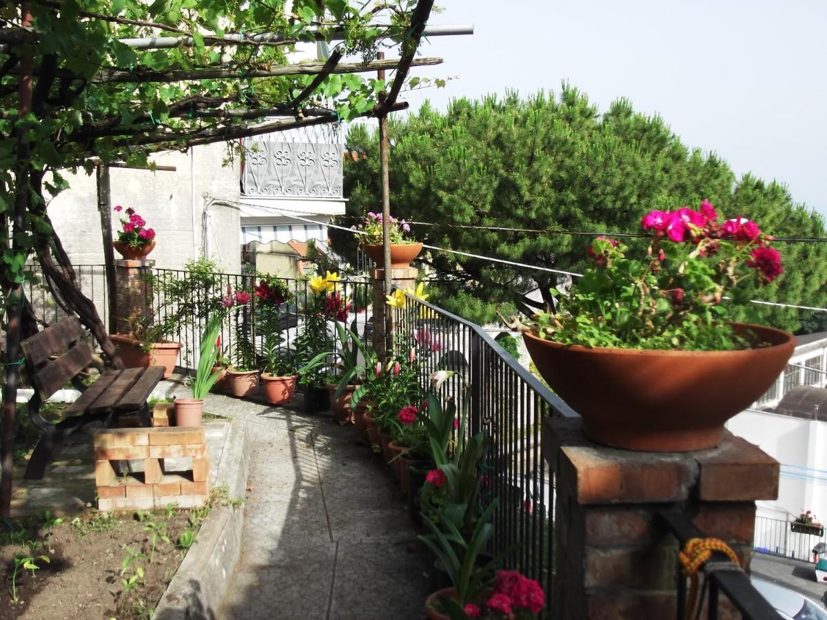 Le Mimose Vietri sul Mare