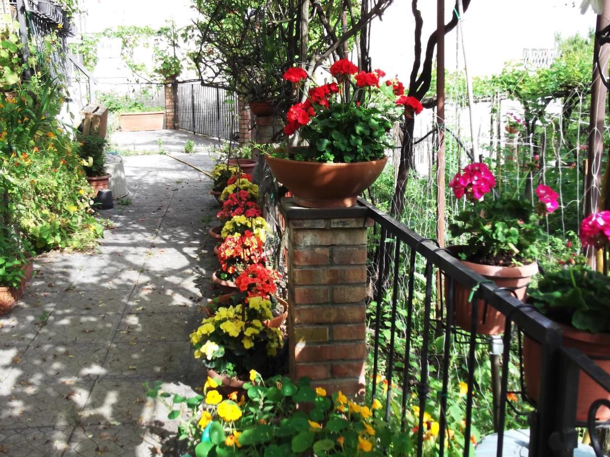 Holiday home Le Mimose *