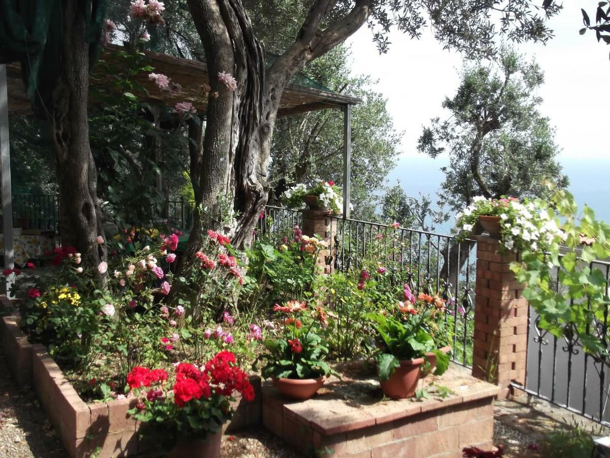 Holiday home Le Mimose Vietri sul Mare