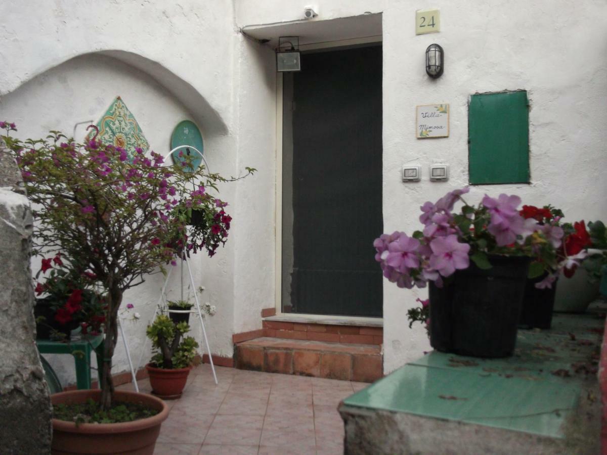 Holiday home Le Mimose *