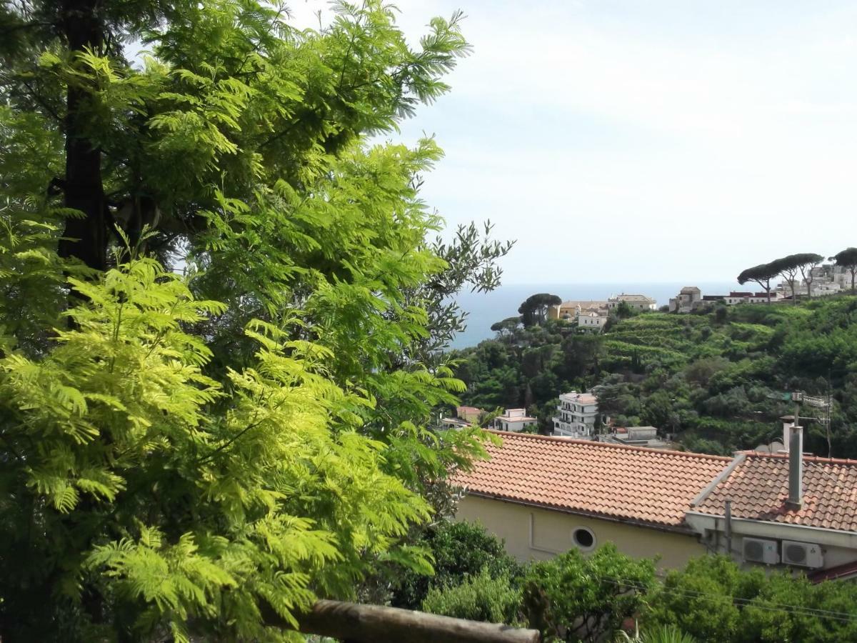 Le Mimose Holiday home