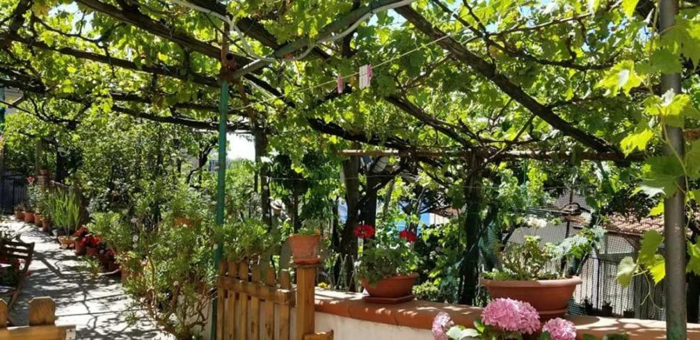 Holiday home Le Mimose *